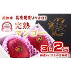 ショッピングふるさと納税 マンゴー ふるさと納税 【先行予約】糖度14度以上　完熟マンゴー3L×2玉(計900g)長友農園　2026年発送＜1.7-44＞ 宮崎県西都市