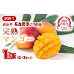 ショッピングふるさと納税 先行予約 ふるさと納税 【先行予約】訳あり　ご家庭用完熟マンゴー1kg(2〜3玉)　長友農園　2026年発送＜1.2-59＞＊ 宮崎県西都市