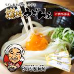 お食事券 がいな製麺所 讃岐うどん お食事券B