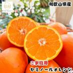 有田育ちの爽快セミノールオレンジ ご 約5kg+200g