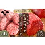 ふるさと納税 手ごねハンバーグ 4個＆しろいし牛 赤身ブロック（ローストビーフ用） 500g / ハンバーグ 牛肉 [IAH112] 佐賀県白石町