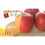 ふるさと納税 訳あり りんご JA信州うえだ 合戦りんご シナノスイート 約10kg リンゴ 林檎 果物 くだもの フルーツ 信州 長野 離乳食 訳アリ わ.. 長野県上田市