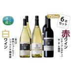 No.158 笹一酒造OLIFANT 750ml×6本