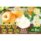 梨 旬の梨 約2kg