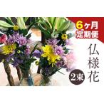 ★6ヶ月定期便★ 仏様花2束 椿原園 初回のみ