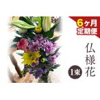 ★6ヶ月定期便★ 仏様花2束 椿原園 初回のみ