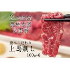 ふるさと納税 馬刺し 上赤身 ブロック 国産 熊本肥育 冷凍 生食用 たれ付き(10ml×6袋) 100g×6セット 肉 期間限定 絶品 馬肉 予約 平.. 熊本県荒尾市
