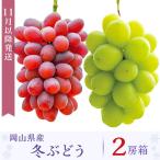 冬ぶどう2房