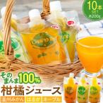 そのまんま100%柑橘ジュース詰合せ10本セット