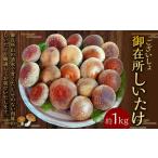御在所肉厚生しいたけ 1kg
