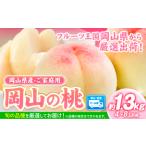 ふるさと納税 桃 岡山の桃 約0.3kg 《6月下旬-9月上旬頃出荷》 | 桃桃桃桃桃桃 岡山県矢掛町