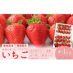 やかげのいちご セット