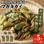 ふるさと納税 マガキガイ(300g×5パック) 国産 鹿児島県産 阿久根市産 魚介 魚貝 海産物 水産加工品 キケみな チャンバラガイ セット 詰.. 鹿児島県阿久根市