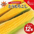 朝採れ とうもろこし スイートコーン 3Lサイズ