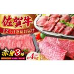 佐賀牛 赤身堪能セット HAA078 肉セット