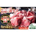 牛肉 モモ 全3回定期便 佐賀牛 切り落とし 1kg