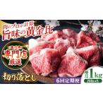 佐賀牛 切り落とし200g×5パック HAA081