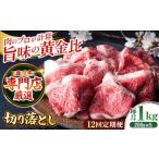 牛肉 ヒレ 美食家も虜になる上質な部位 全12回定期便