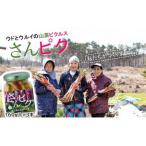 fu.... налог san pi Koo север три суша дикоросы пикули -3 шт. комплект Iwate префектура .. город 