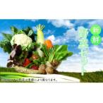 fu.... налог [ безопасность * безопасность * производство прямой прямая поставка!] сезон. овощи набор ( случайный комплект ) Iwate префектура .. город 