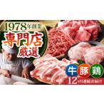 ミンチ付き 三栄のデイリーセット HAA094