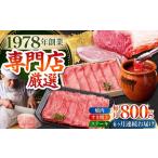 佐賀牛 よりどりセット HAA100 和牛