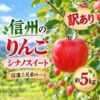 りんご 令和8年10月中旬頃発送 シナノスイート