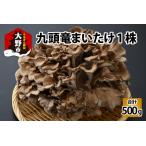 fu.... налог 9 голова дракон ....1 АО ввод [A-038003] Fukui префектура Oono город 