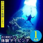 青の世界を体感しよう 青の洞窟ボート体験ダイビング1名様