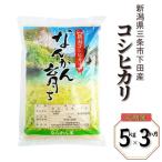 定期便 コシヒカリ 5kg×3か月