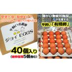 fu.... налог Amami Ooshima. flat .. иметь . яйцо 40 штук входит Кагосима префектура Amami группа остров Amami Ooshima дракон . блок местного производства Amami производство Tama . яйцо eg иметь . яйцо flat .. ваш заказ Кагосима префектура дракон . блок 