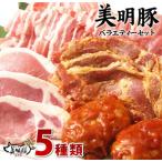 J-1 バラエティーセット