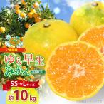 和歌山 有田ゆら早生みかん 約10kg