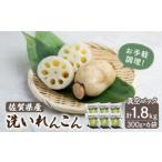 ふるさと納税 【ギフトにもおすすめ！】洗い れんこん 真空パック入り 300g×6袋（計1.8kg）【有限会社マルハ園芸】[ICC003] 佐賀県白石町