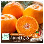 有田のはるみ 約6kg