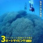 ダイビング 奄美の海を満喫 3ボートダイビング