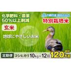 こしひかり 10kg
