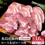 糸島豚ロース肉6枚 肩ロースカツ5枚 合計11枚セット