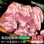 糸島豚ロース肉6枚 肩ロースカツ5枚 合計11枚セット