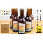 ヒダノオクブルワリー クラフトビール飲み比べ6本セット