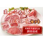 DL-1 まごころ豚お楽しみセット 共通返礼品