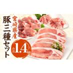 産豚ローストンカツ 5枚