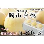 ふるさと納税 桃 2026年 先行予約 岡山 白桃 エース 3玉×約300g(3Lサイズ) JA おかやま のもも(早生種・中生種) もも モモ 岡山県産 国.. 岡山県玉野市