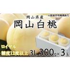 ふるさと納税 桃 2026年 先行予約 岡山 白桃 ロイヤル 3玉×約300g（3Lサイズ） JA おかやま のもも（早生種・中生種） もも モモ 岡山県産 .. 岡山県玉野市