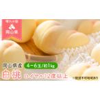 ふるさと納税 桃 2024年 先行予約 岡山 白桃 ロイヤル 4〜6玉 約1kg JA おかやま のもも（早生種・中生種） もも モモ 岡山県産 国産 フルーツ .. 岡山県玉野市