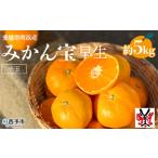明浜産 みかん 宝 5kg