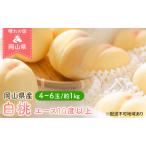 ふるさと納税 桃 2025年 先行予約 岡山 白桃 エース 4〜6玉 約1kg JA おかやま のもも(早生種・中生種) もも モモ 岡山県産 国産 フルーツ 果.. 岡山県玉野市