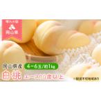 ふるさと納税 桃 2024年 先行予約 岡山 白桃 エース 4〜6玉 約1kg JA おかやま のもも（早生種・中生種） もも モモ 岡山県産 国産 フルーツ 果.. 岡山県玉野市