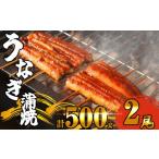 ふるさと納税 ふっくら肉厚 有頭 うなぎ蒲焼 2尾 500g SF010-2 福岡県須恵町