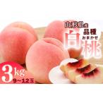 ふるさと納税 山形県産「白桃」3kg 品種おまかせ （9〜12玉） 特秀品 令和6年産 【2024年8月上旬頃〜9月下旬頃発送予定】　012-B-JA019 山形県寒河江市